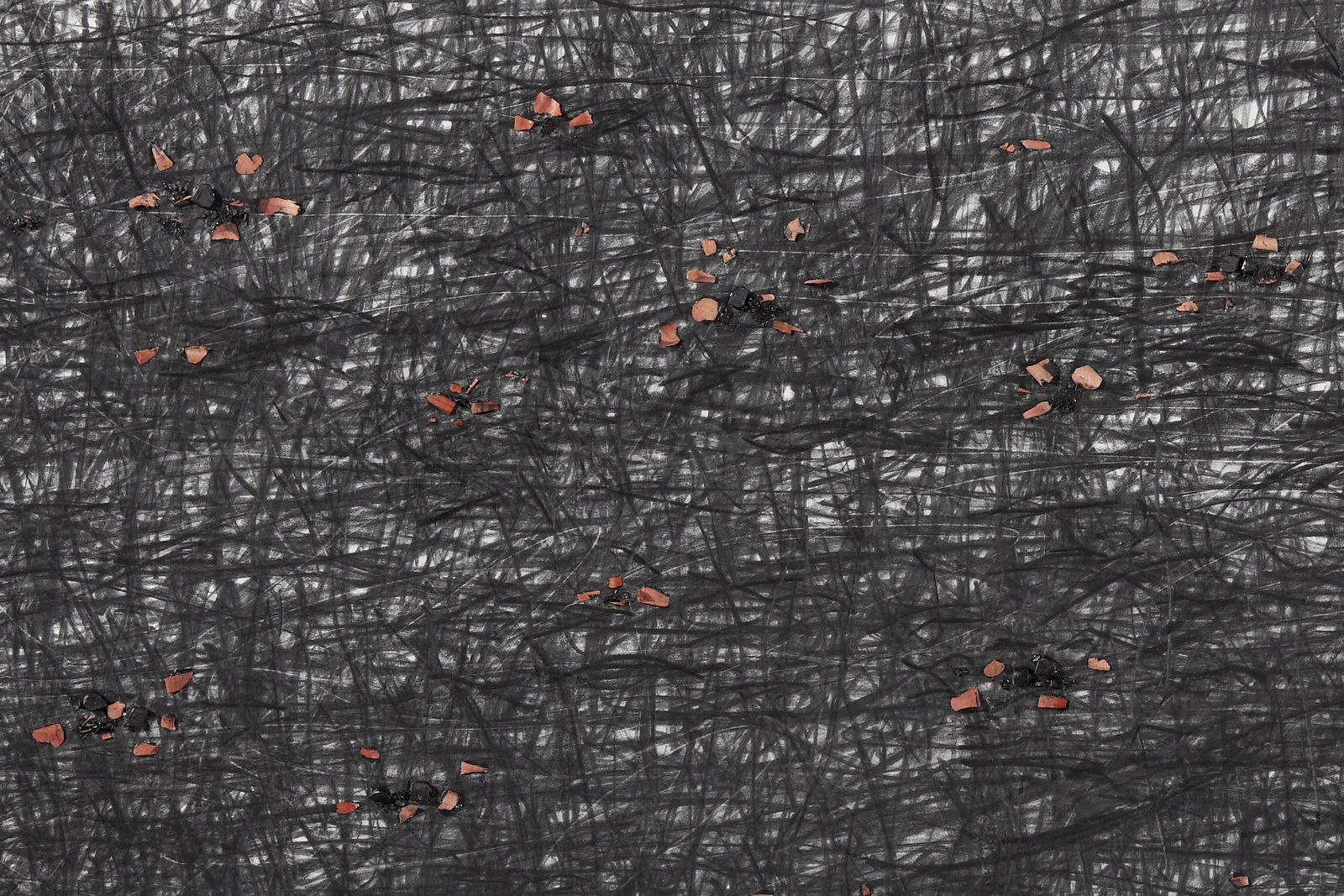 Shi Jin-Hua, Pen Walking #133, 2013