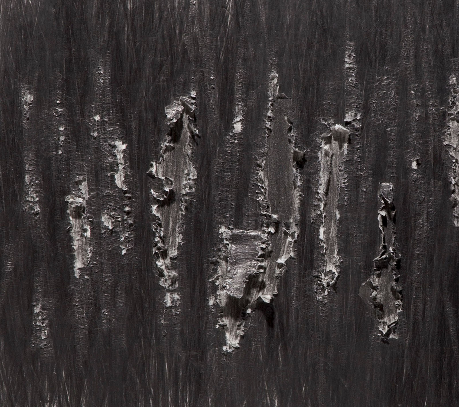 Shi Jin-Hua, Pen Walking #80, 2010