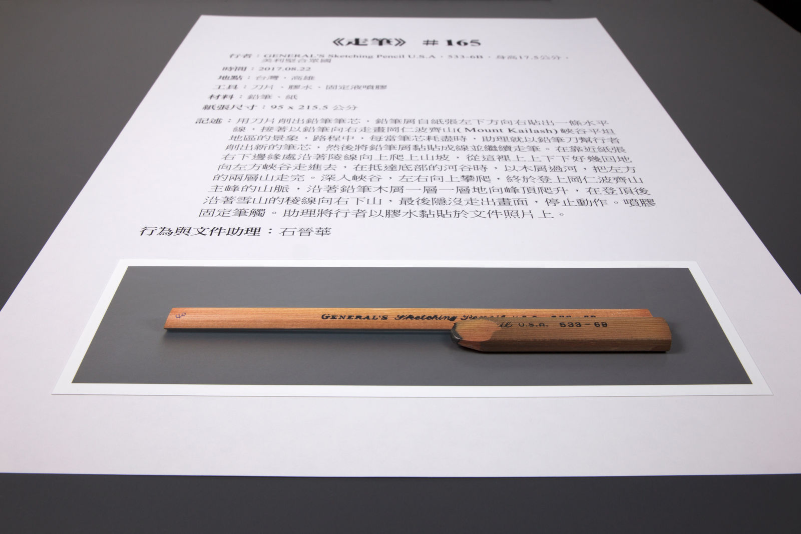 Shi Jin-Hua, Pen Walking #165, 2017