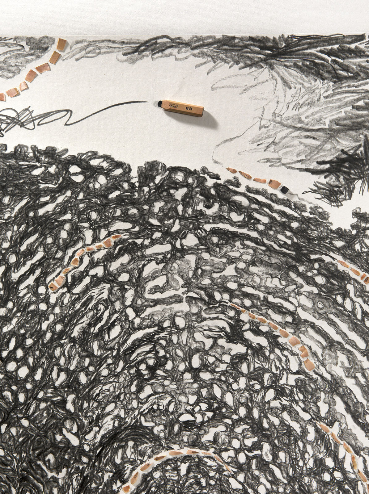 Shi Jin-Hua, Pen Walking #172, 2019