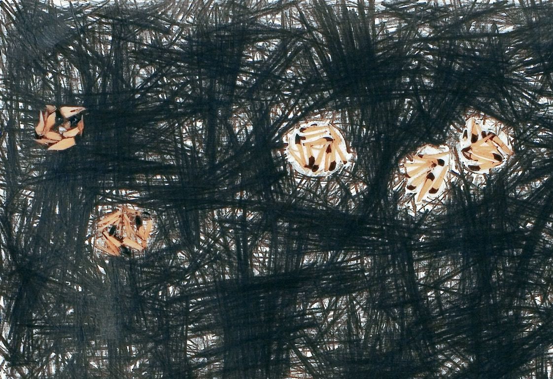 Shi Jin-Hua, Pen Walking #26, 2007