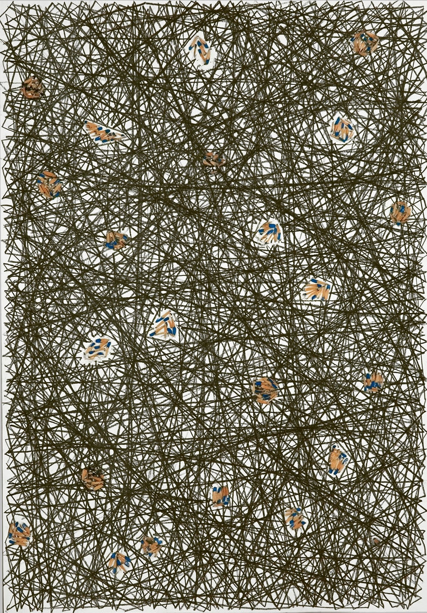 Shi Jin-Hua, Pen Walking #40, 2007