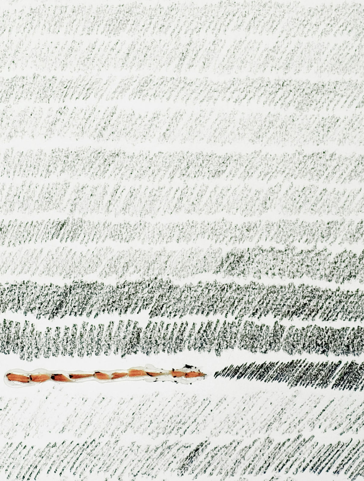 Shi Jin-Hua, Pen Walking #18, 2007