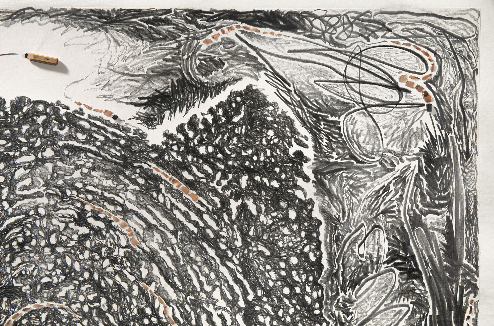 Shi Jin-Hua, Pen Walking #172, 2019