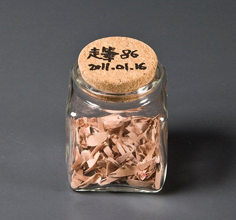 Shi Jin-Hua, Pen Walking #86, 2011