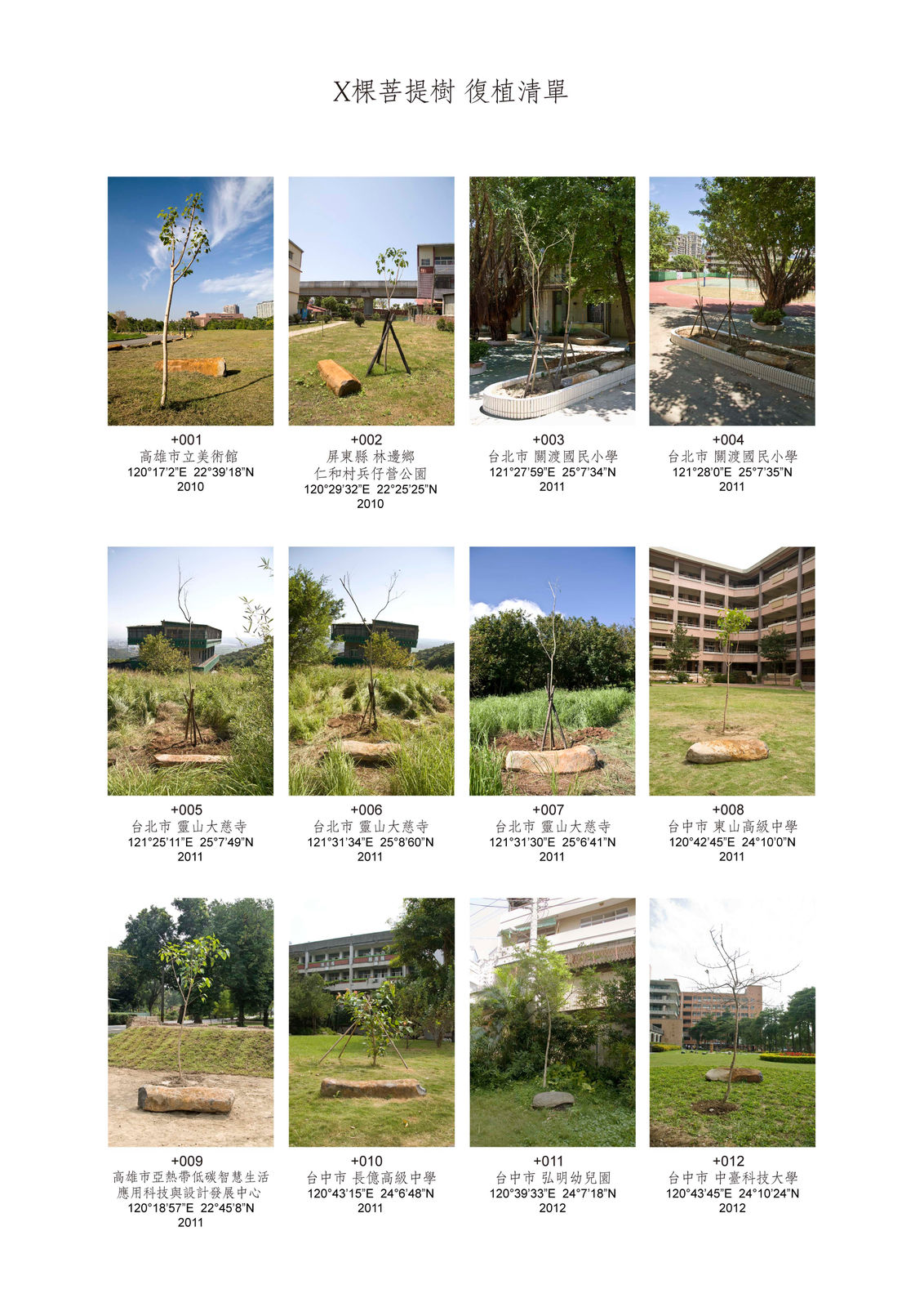 Shi Jin-Hua, X Bodhi Trees, 2010-2021