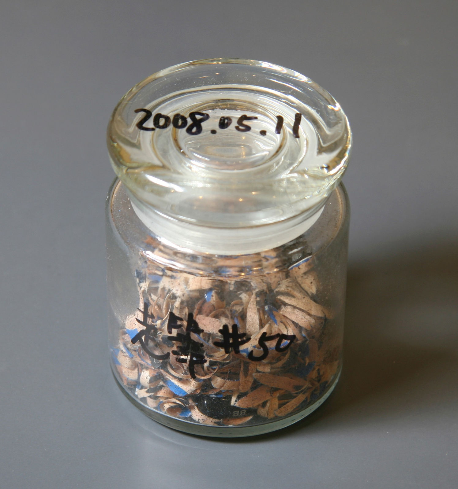 Shi Jin-Hua, Pen Walking #50, 2008