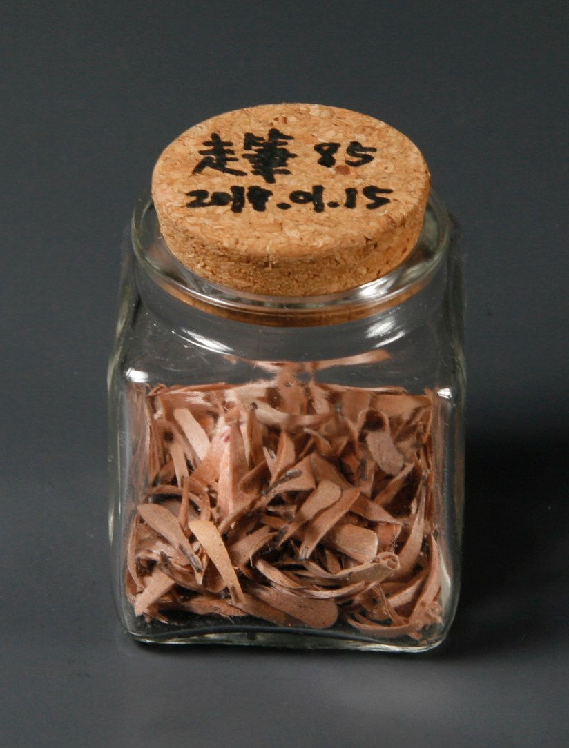 Shi Jin-Hua, Pen Walking #85, 2011