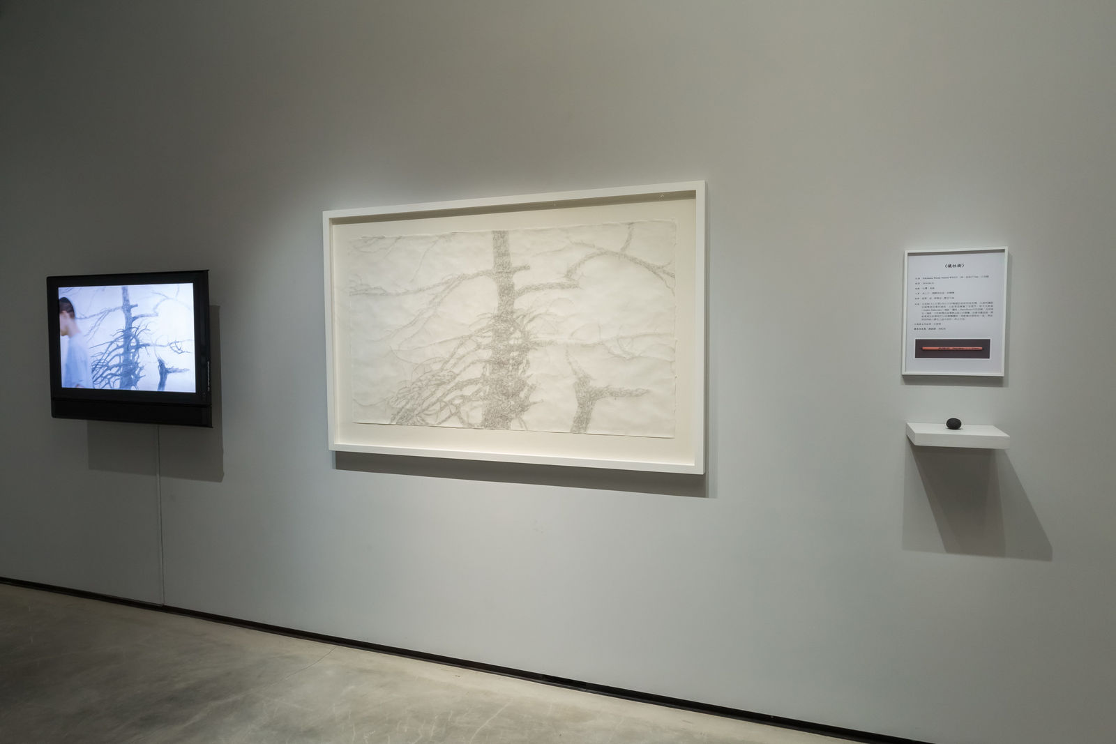 Shi Jin-Hua, The Sacrifice Tree, 2017