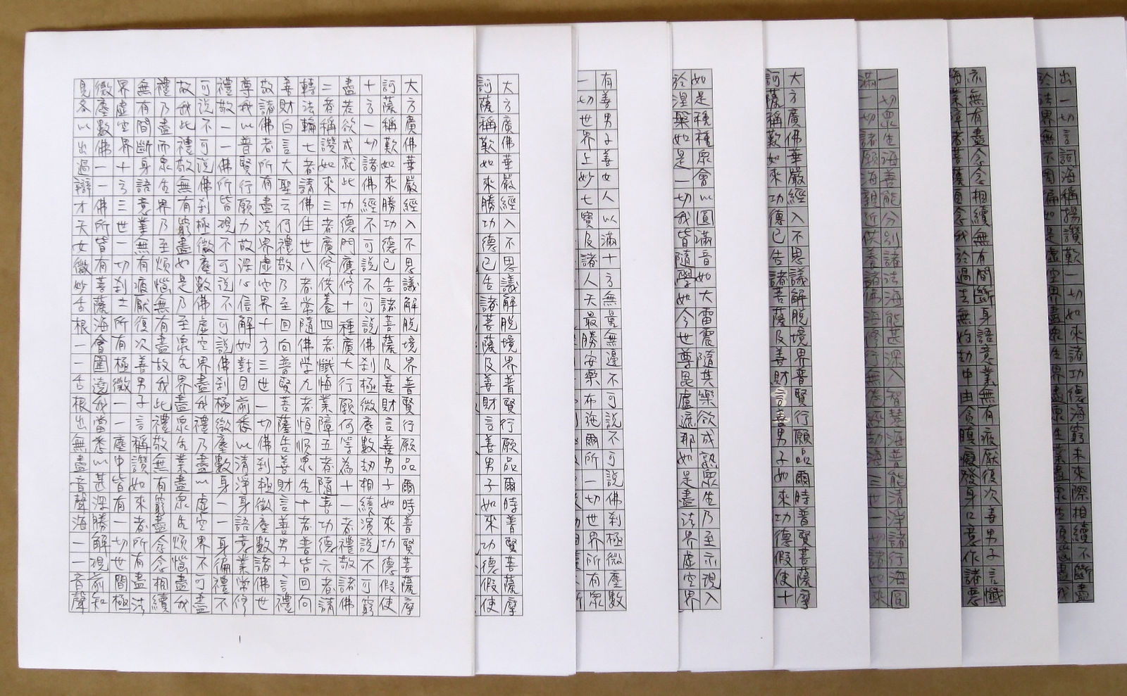 Shi Jin-Hua, Ten Practices and Vows, 2006-2009