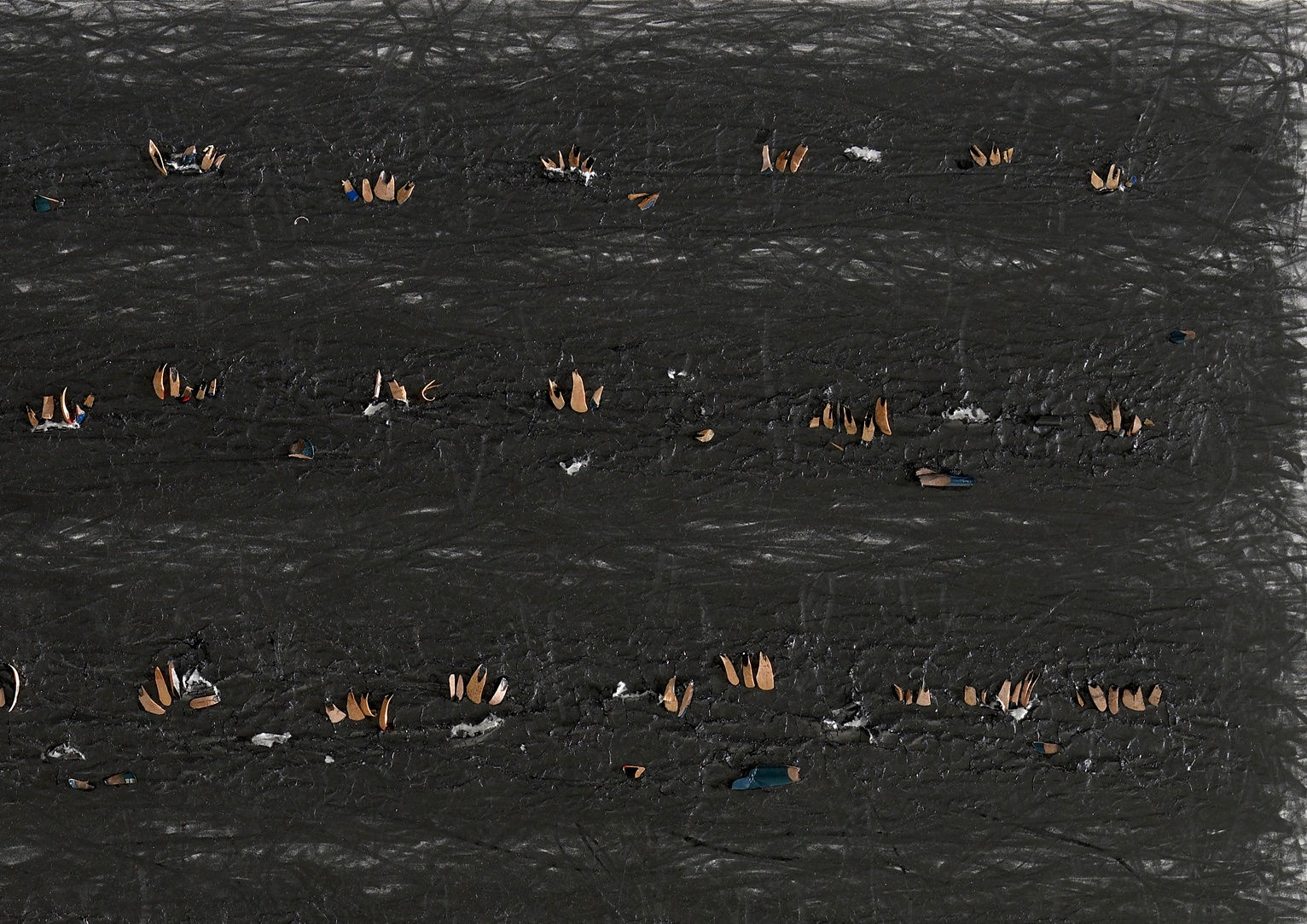 Shi Jin-Hua, Pen Walking #127, 2012