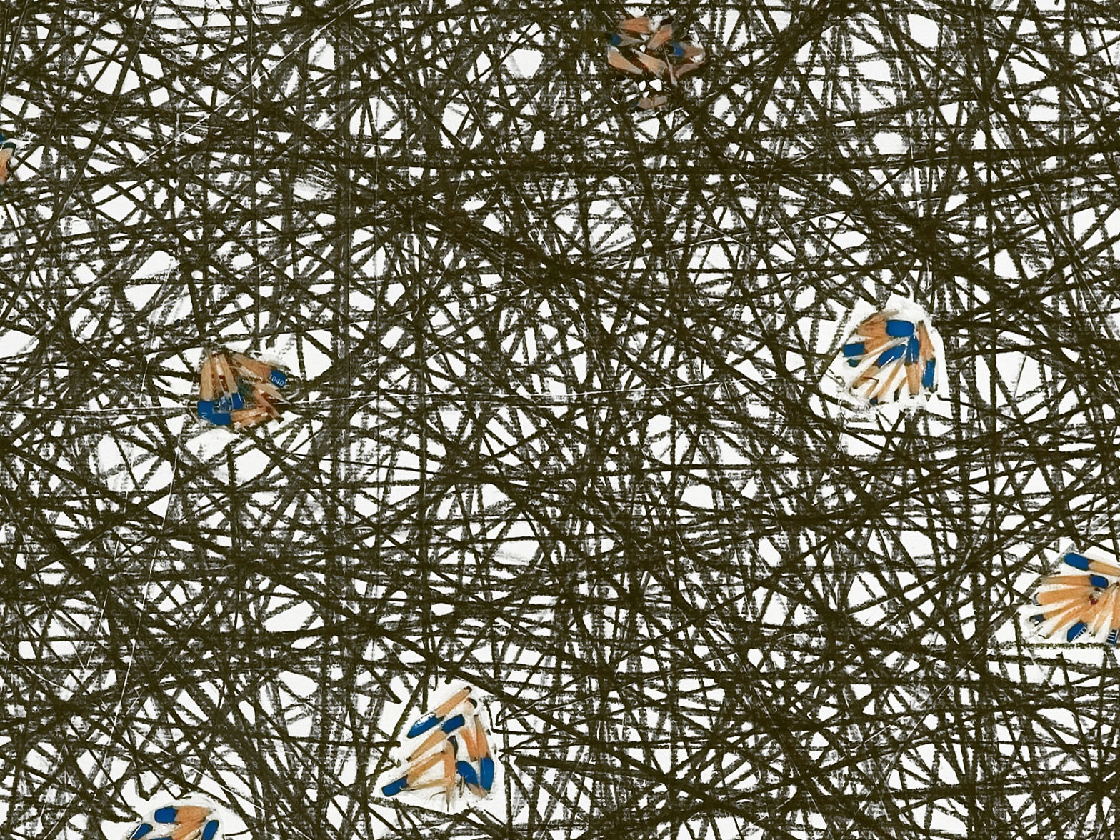 Shi Jin-Hua, Pen Walking #40, 2007