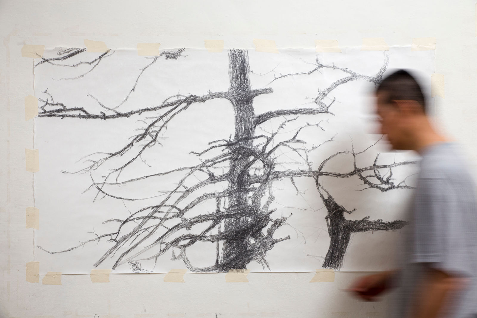 Shi Jin-Hua, The Sacrifice Tree, 2017