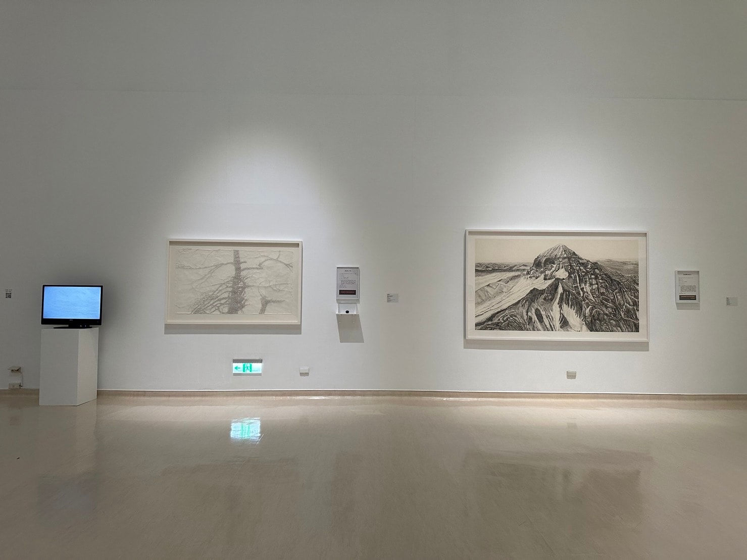 Shi Jin-Hua, Pen Walking #181, 2021–2022