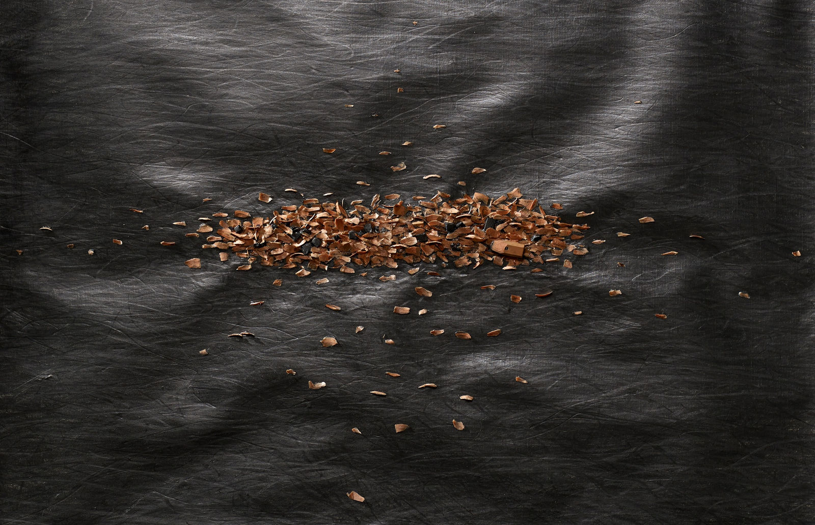 Shi Jin-Hua, Pen Walking #138, 2014