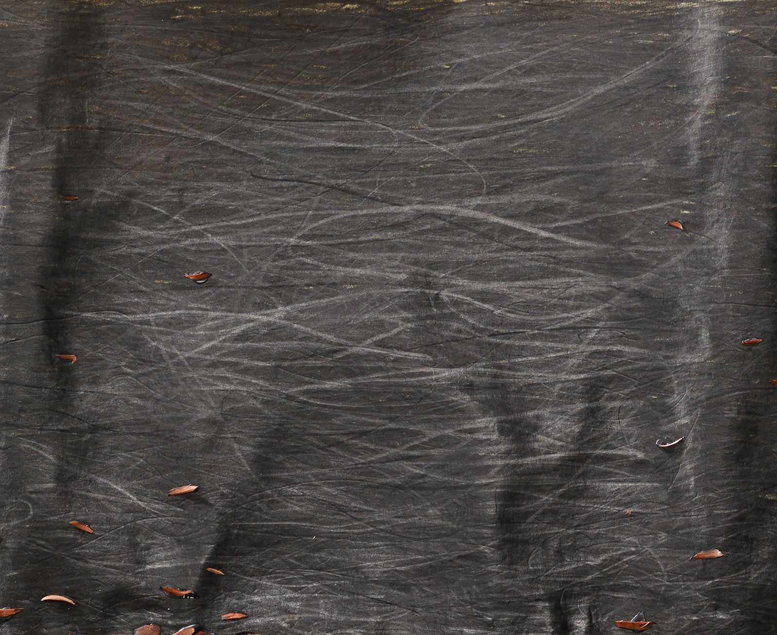 Shi Jin-Hua, Pen Walking #140, 2014