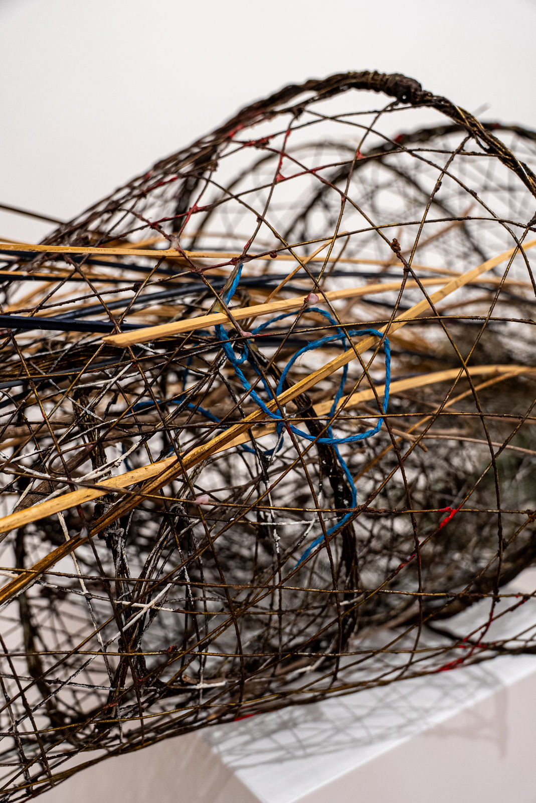 Shaqayeq Arabi, Untitled, 2026