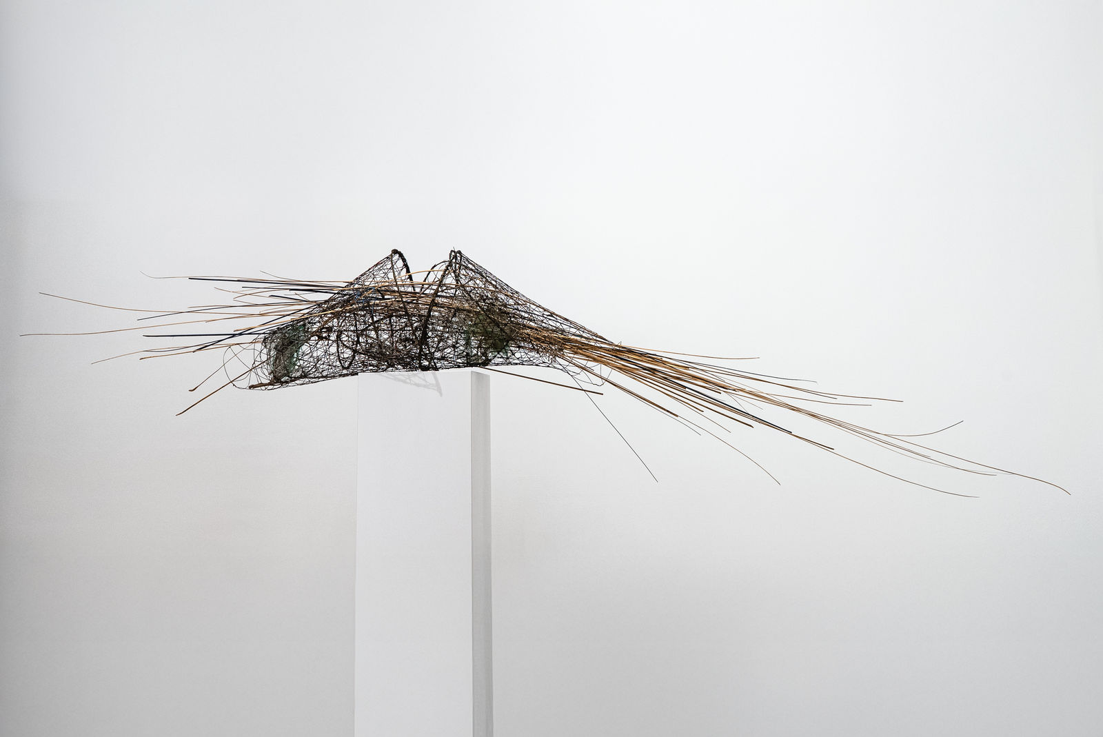 Shaqayeq Arabi, Untitled, 2026