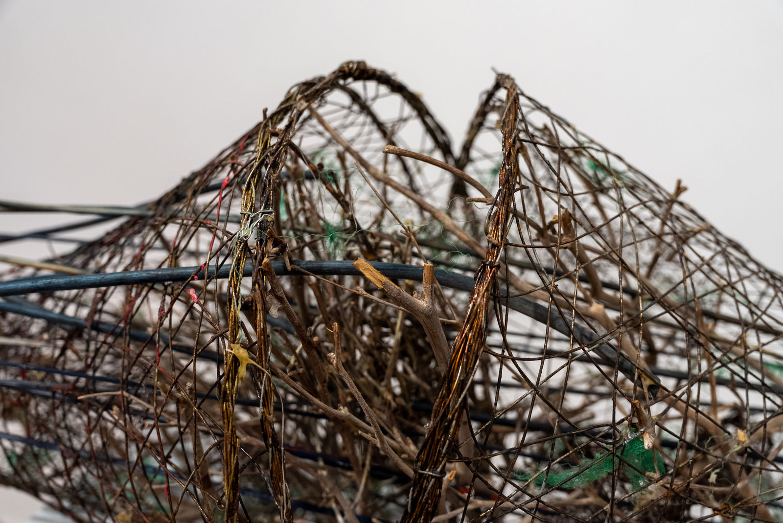 Shaqayeq Arabi, Untitled, 2026