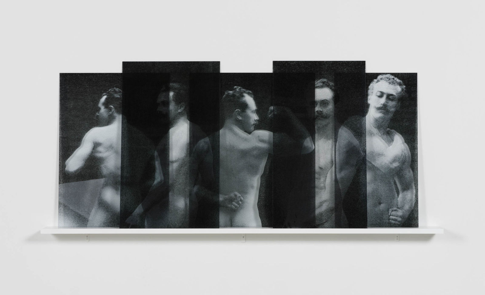 Milja Laurila, Un beau spécimen, 2016