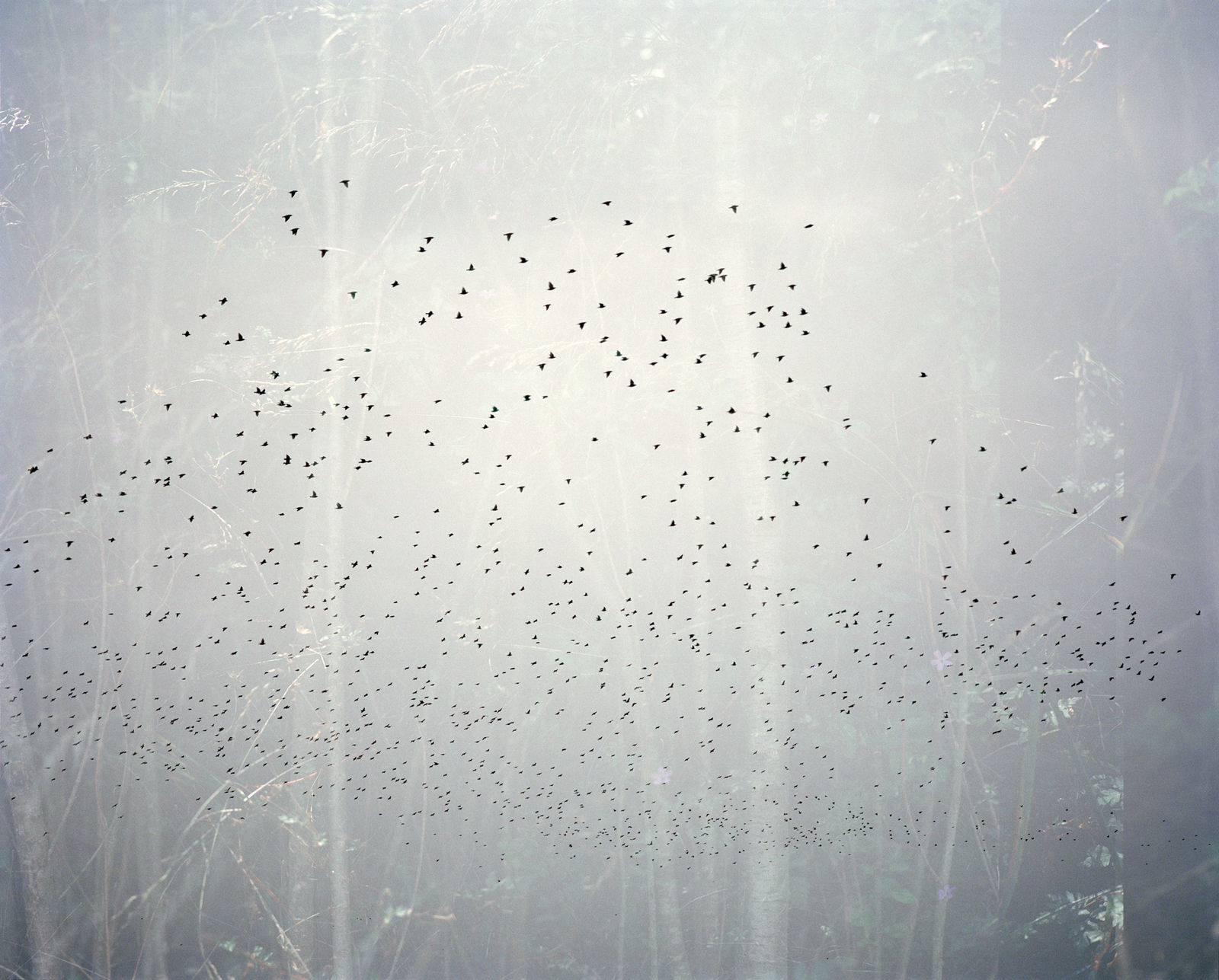 Erle M. Kyllingmark, YDASSA #07, 2020