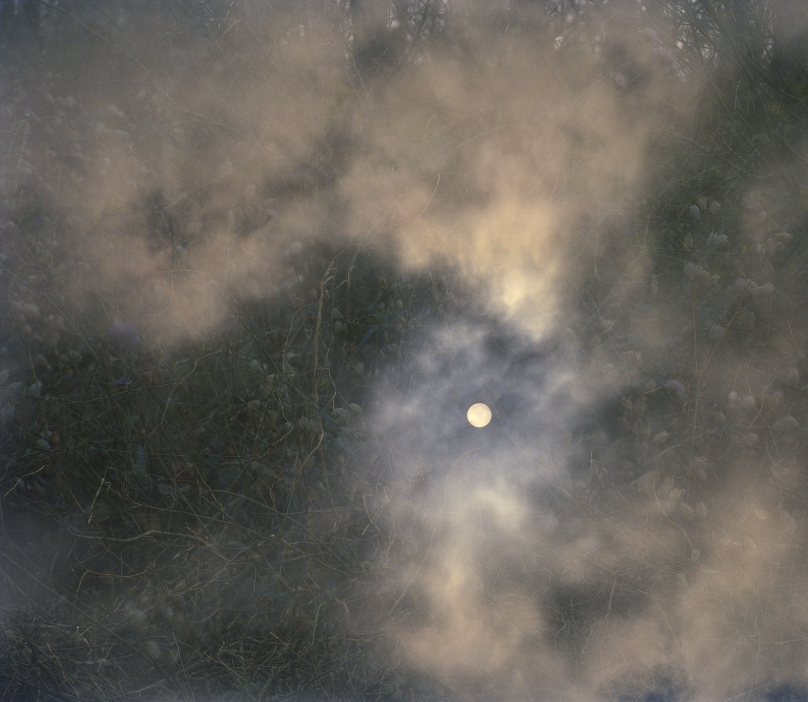 Erle M. Kyllingmark, YDASSA #04, 2020