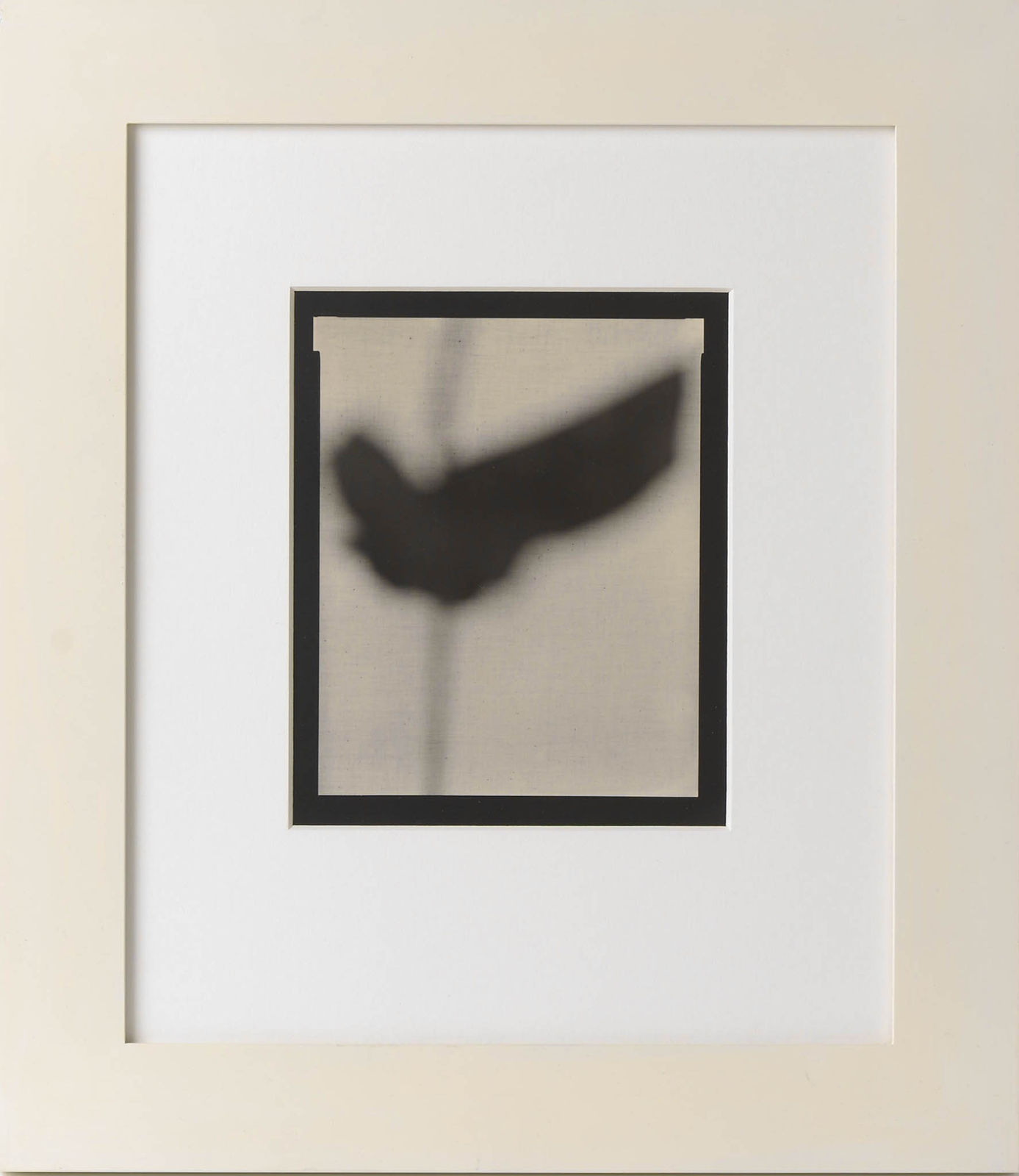 Dawid, BLOMMOR, #1650 , 1983