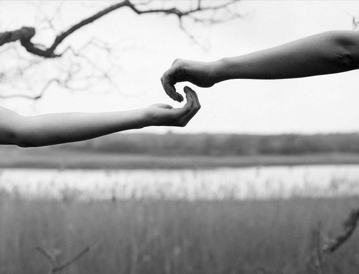 Arno Rafael Minkkinen, Freshwater, Isle of Wight, England (hands meeting), 2002