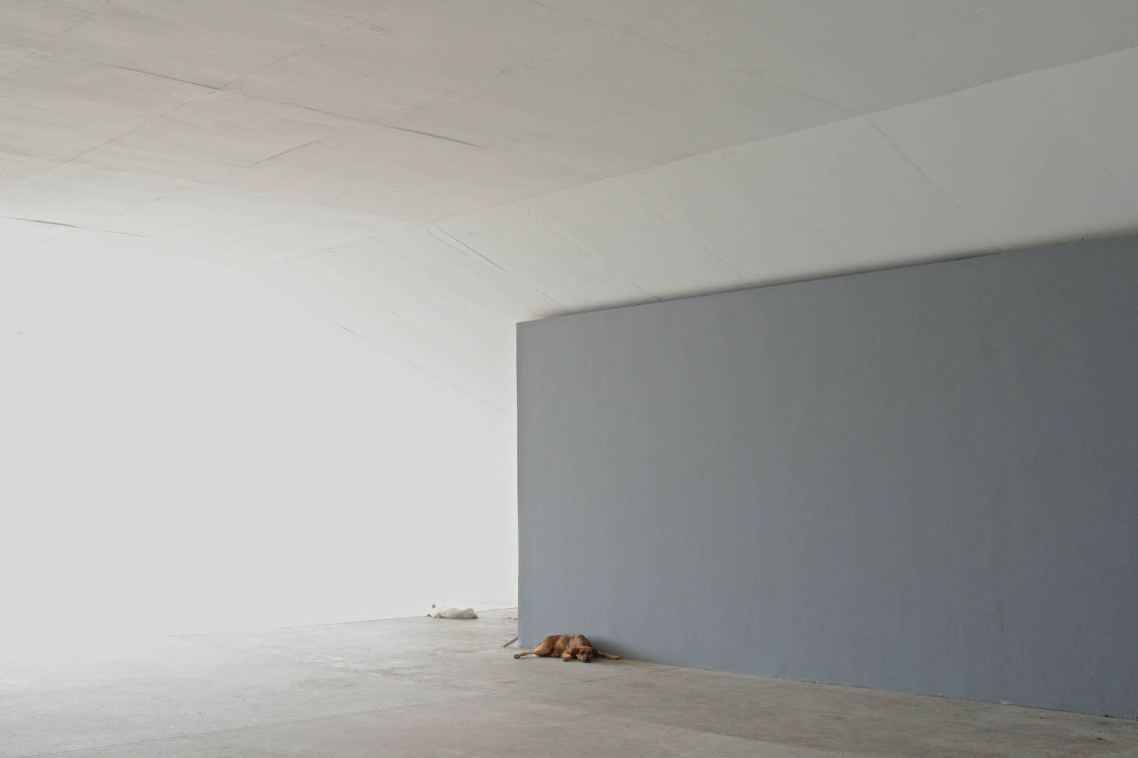 Jo Bentdal, Intermission 7, 2013