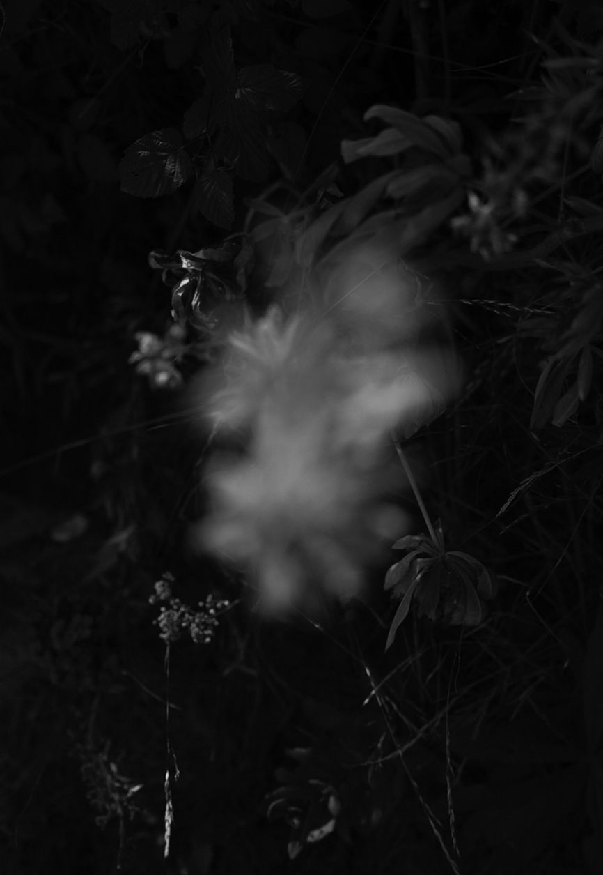 Massimo Leardini, ELV, Untitled, 2018