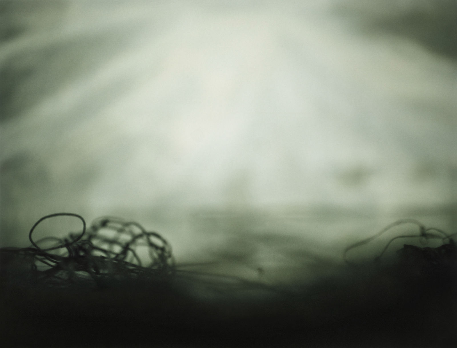 Nils Olav Bøe, U.T - 24, 2019