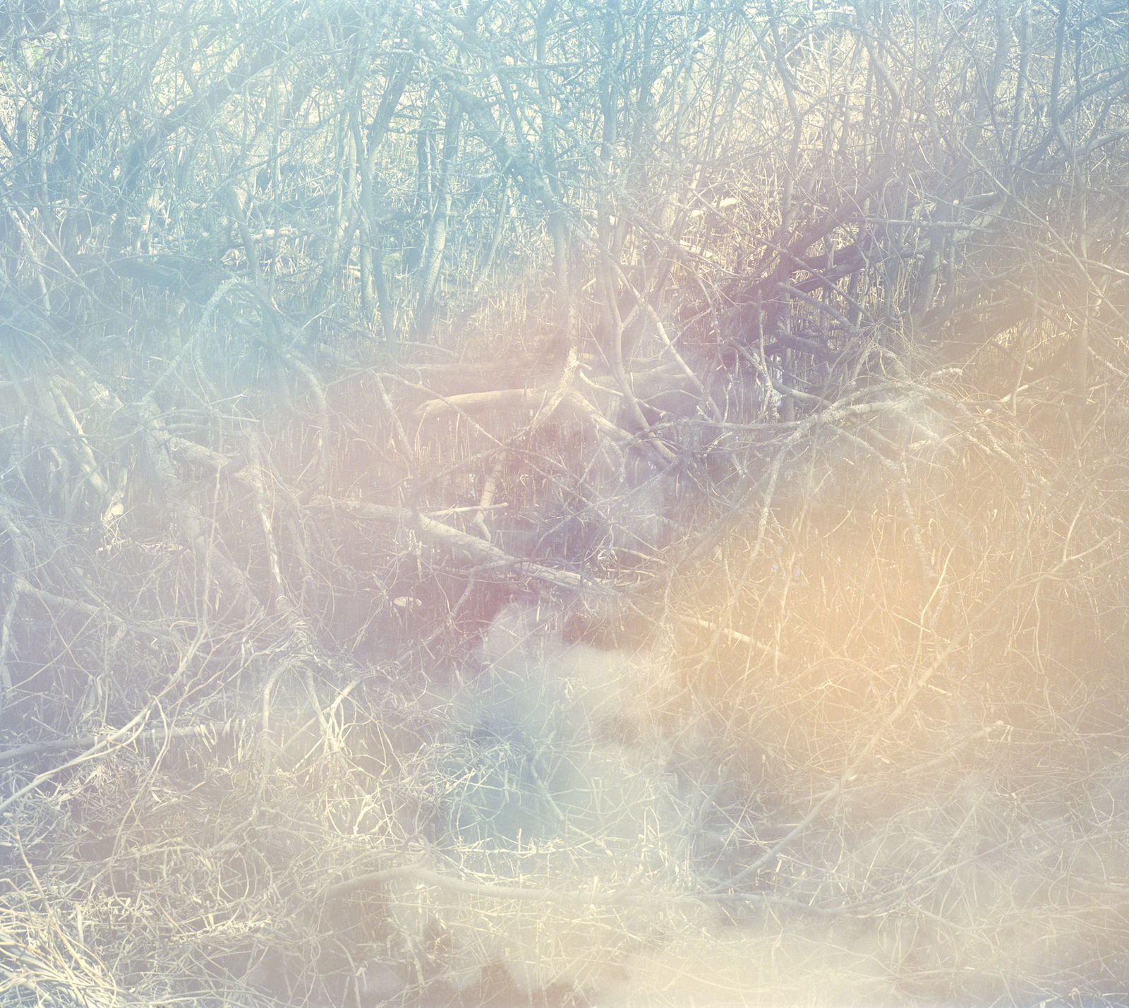 Erle M. Kyllingmark, YDASSA #09, 2020