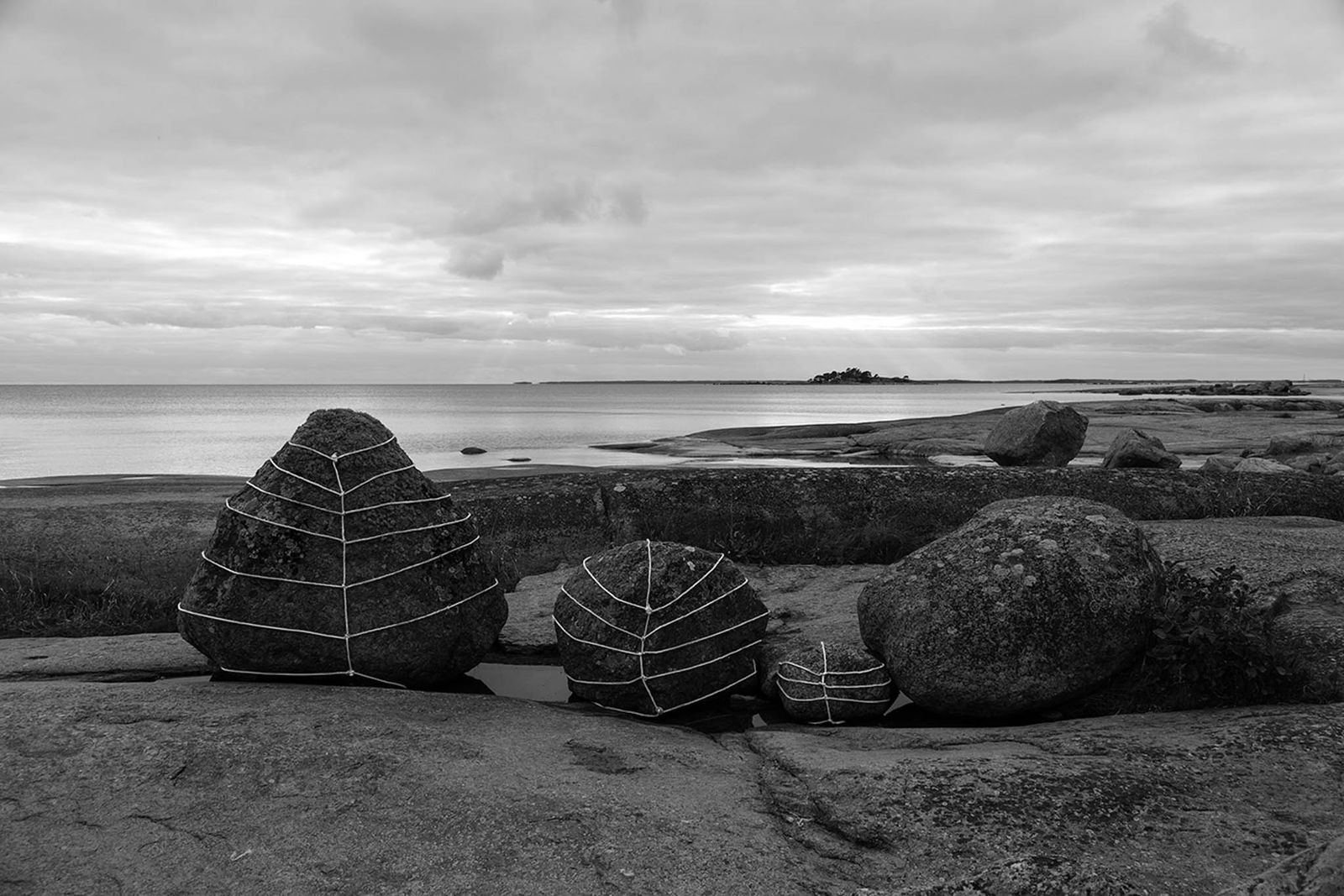 Anna Reivilä, Bond #21, 2016