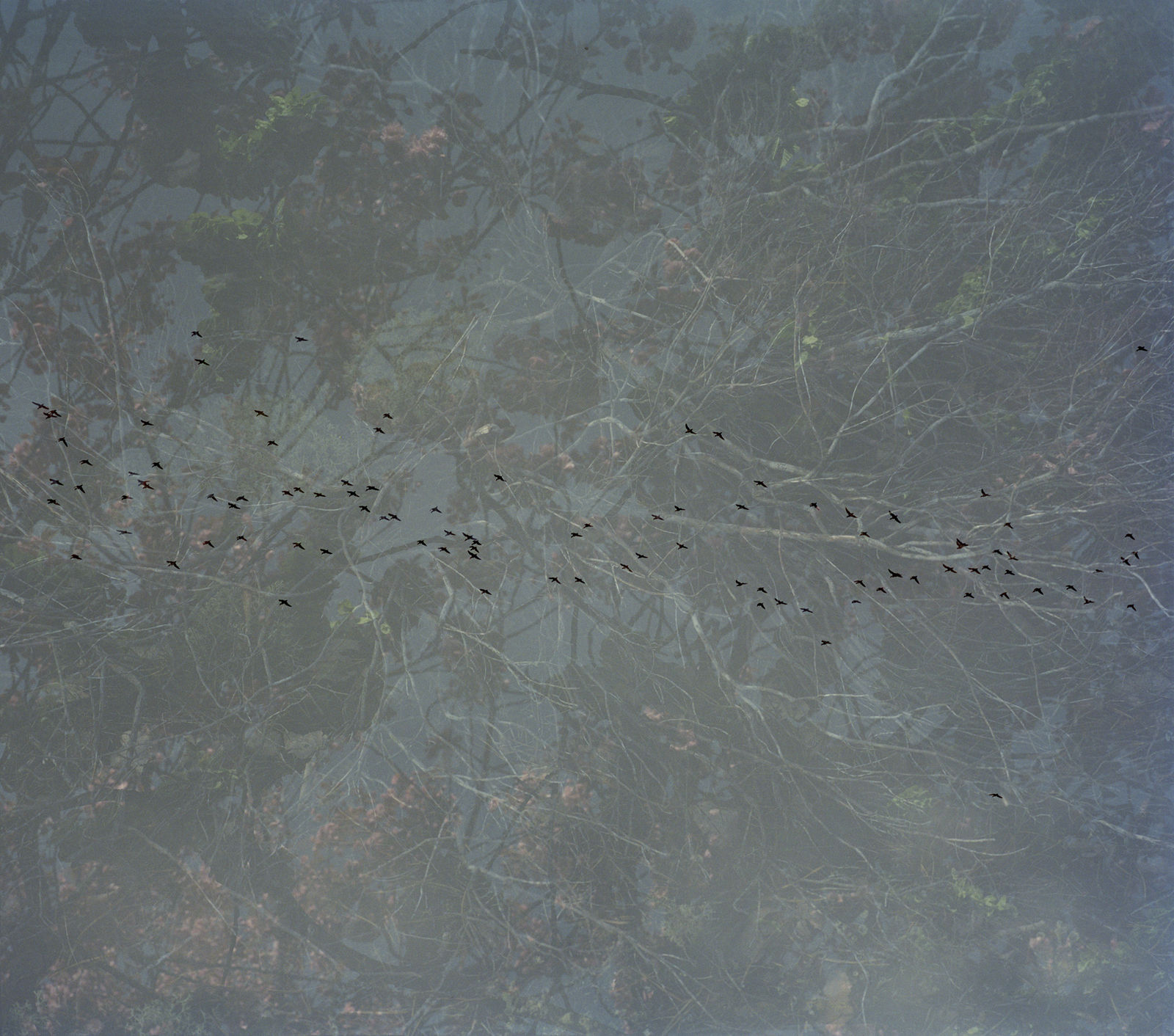 Erle M. Kyllingmark, YDASSA #64, 2020