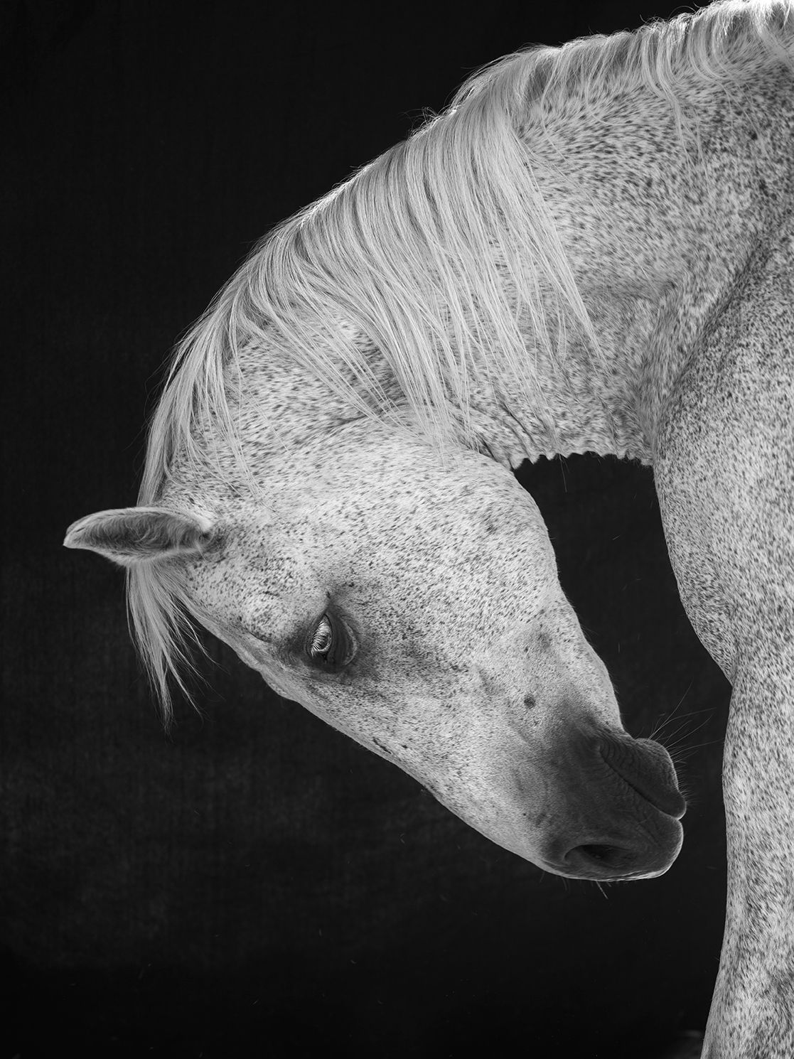 Anja Niemi, Lightness in Solid Black, 2021
