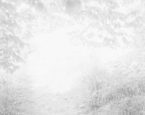 Dag Alveng, Summerlight / Greiner nær Milton, 1999