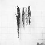 Dag Alveng, Asylum / Bukseseler