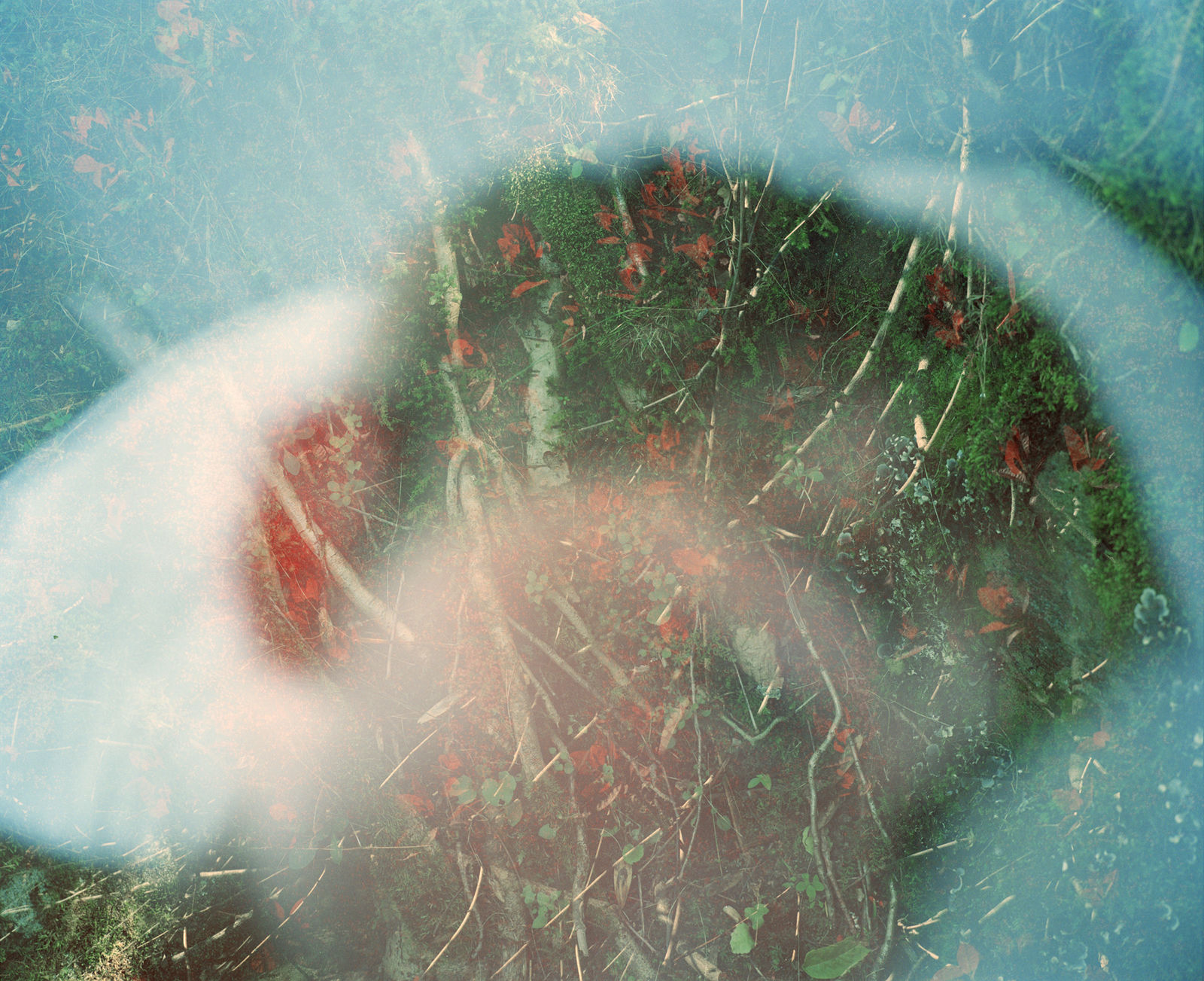 Erle M. Kyllingmark, YDASSA #42, 2020