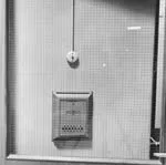 Dag Alveng, Asylum / Lysbryter bak rute