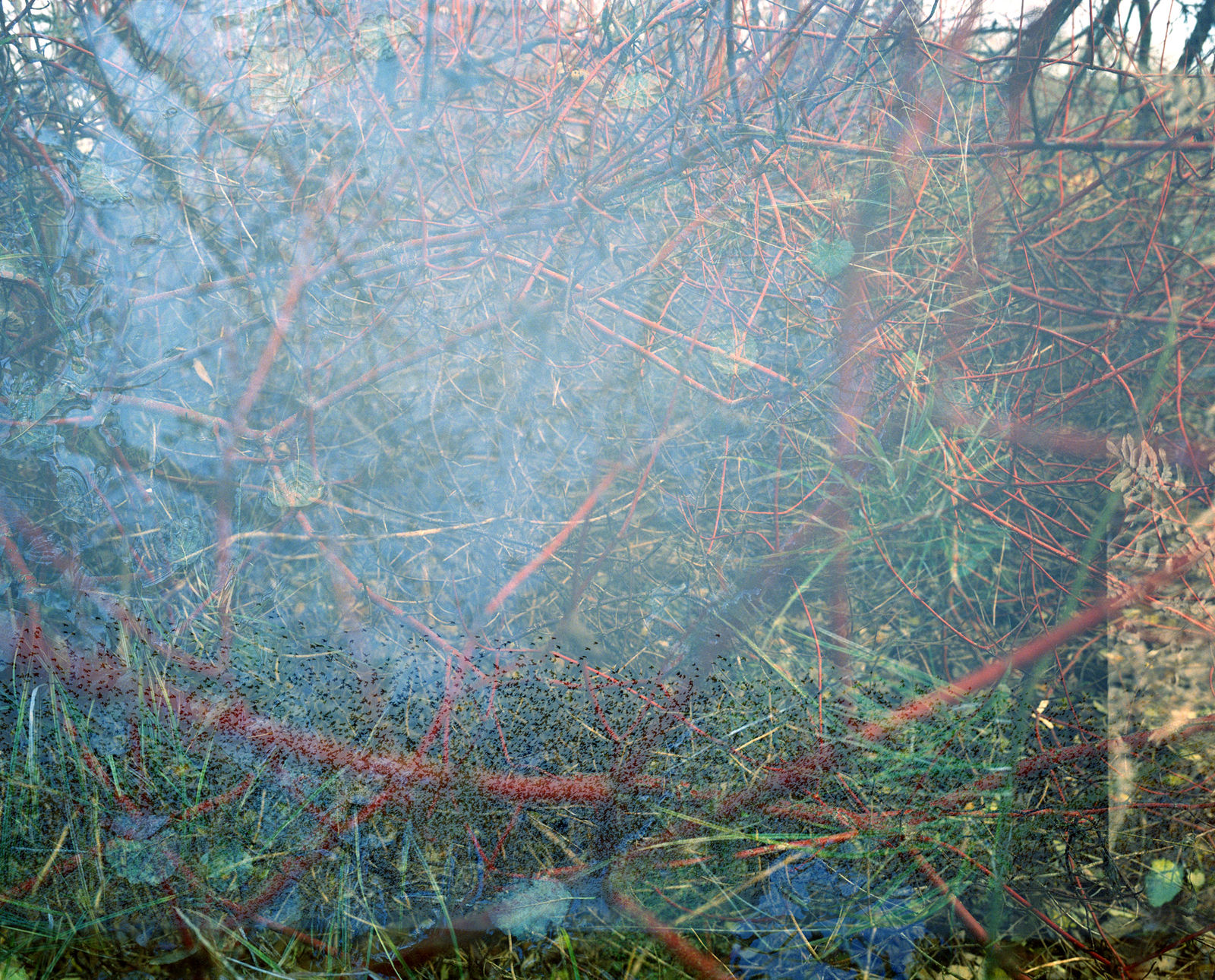 Erle M. Kyllingmark, YDASSA #62, 2020