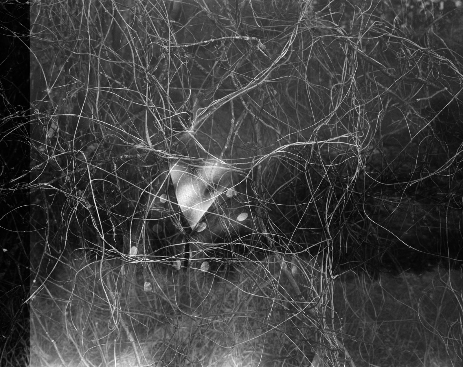 Erle M. Kyllingmark, YDASSA #03, 2020