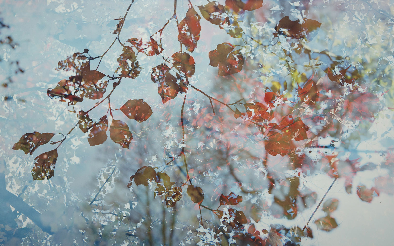 Erle M. Kyllingmark, In the Dark it Shines Through #1, 2018