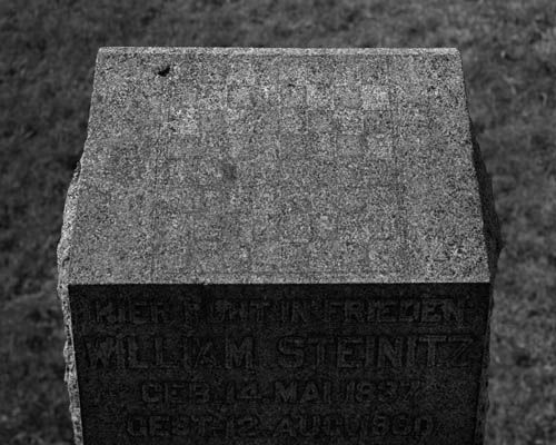 Dag Alveng, Chess / William Steinitz, gravstøtte, New York, 2017