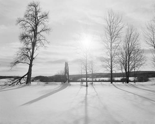 Dag Alveng, Wilse / Lange skygger over langdammen
