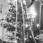 Dag Alveng, Asylum / Juetre