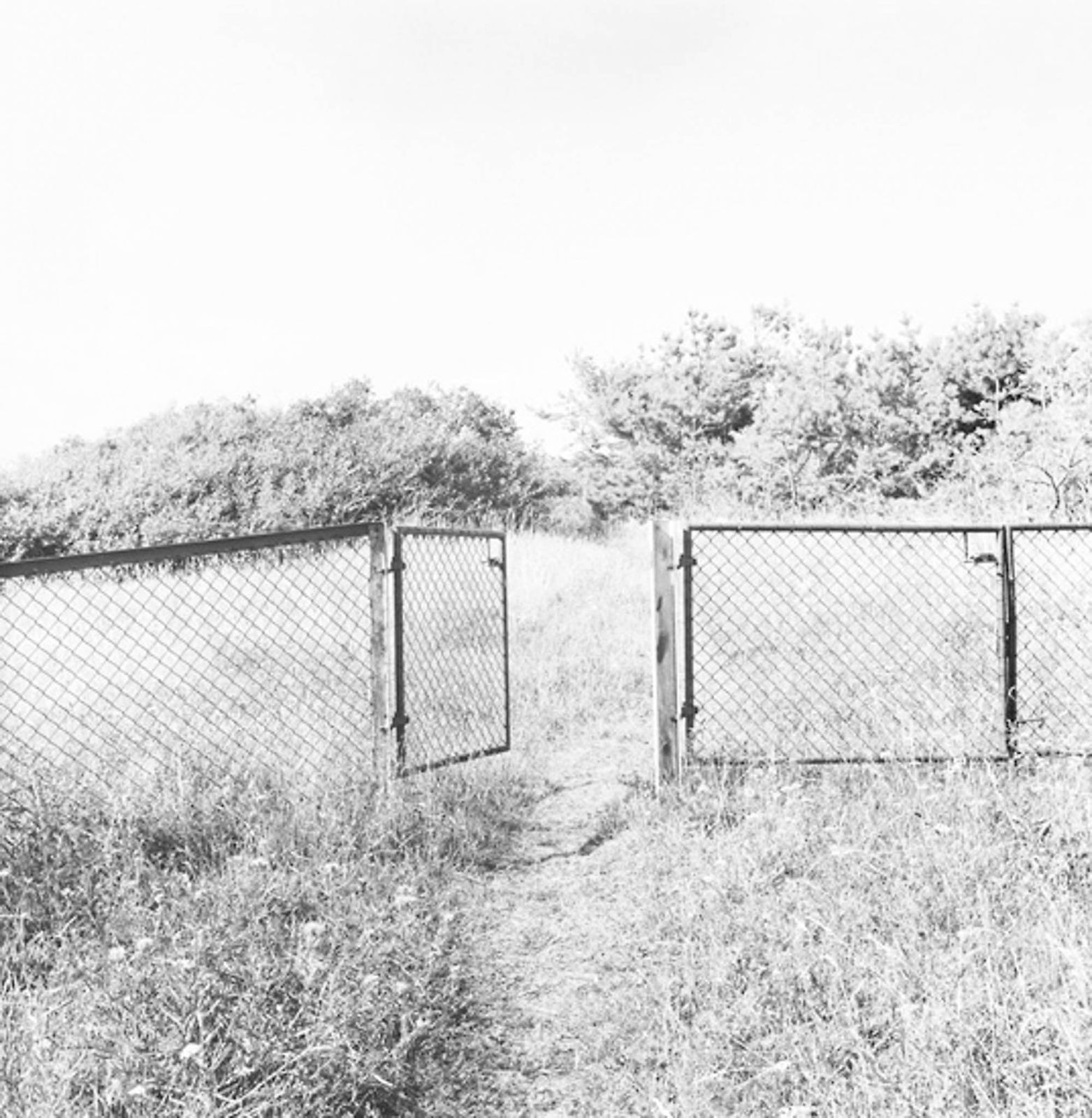 Dag Alveng, Summerlight, Open Gate, 1997