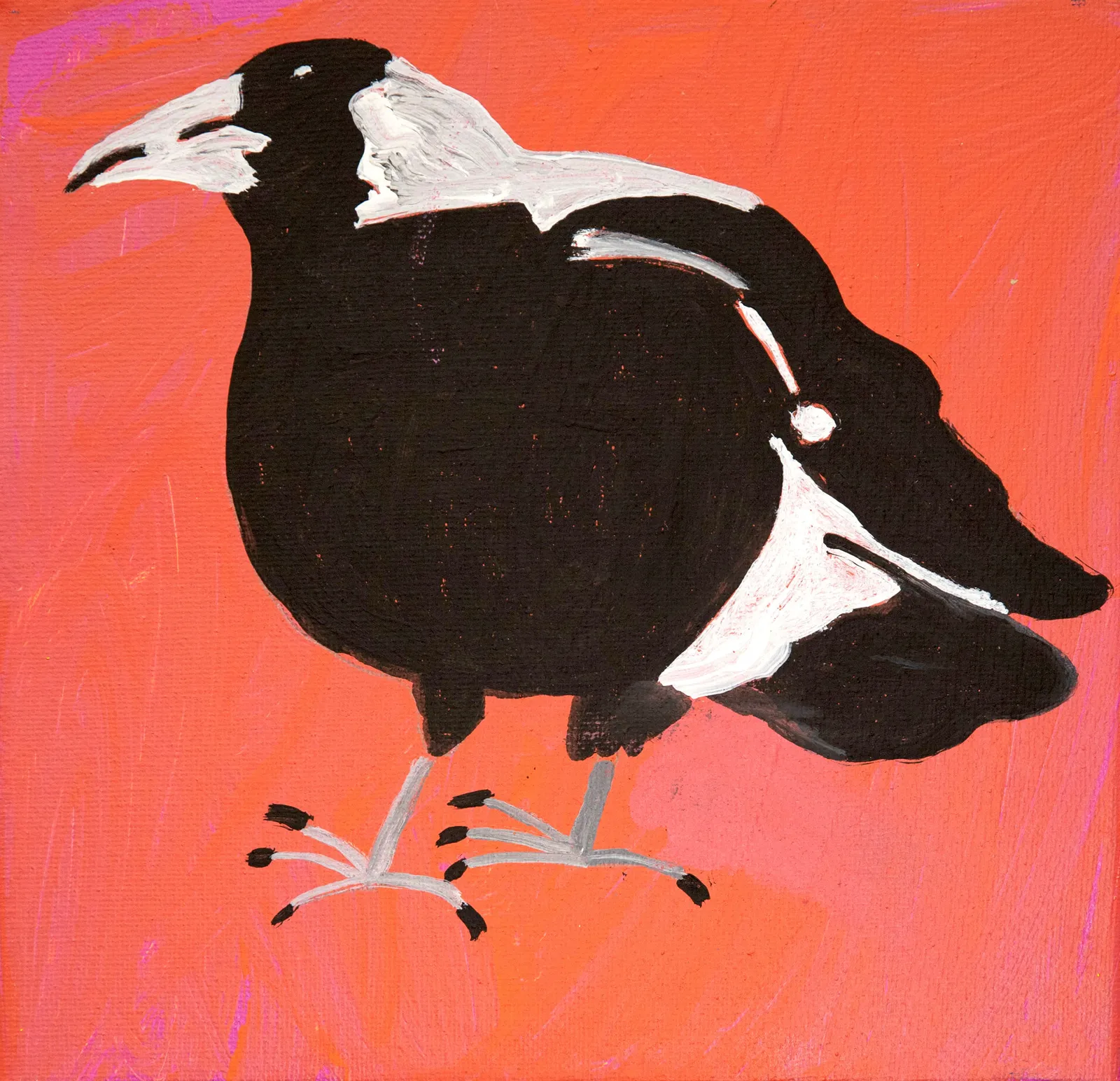 Jeffrey Lewis, Jeffrey's Birds, 2022