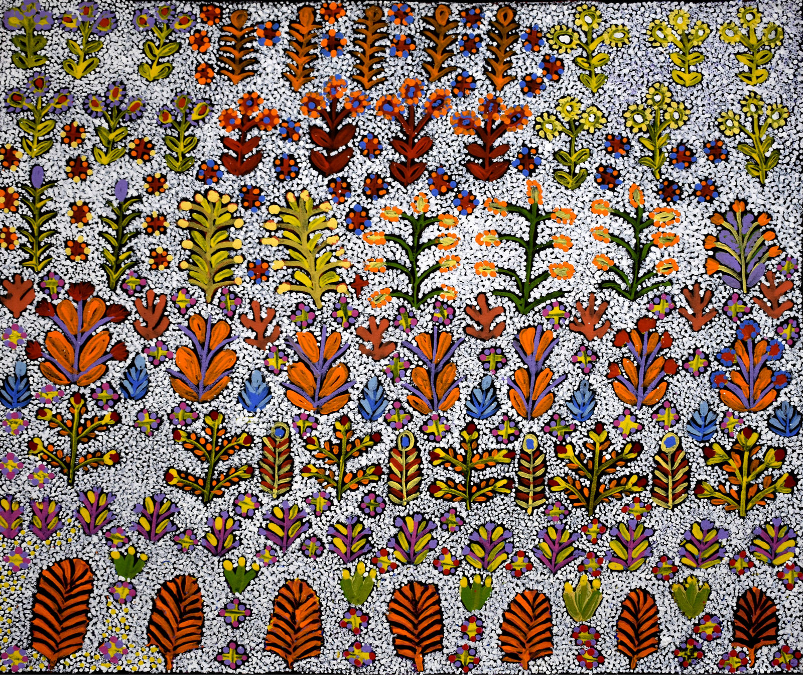 Rosie Kemarra Morton, My Father's Country & Bush Medicine, 2019