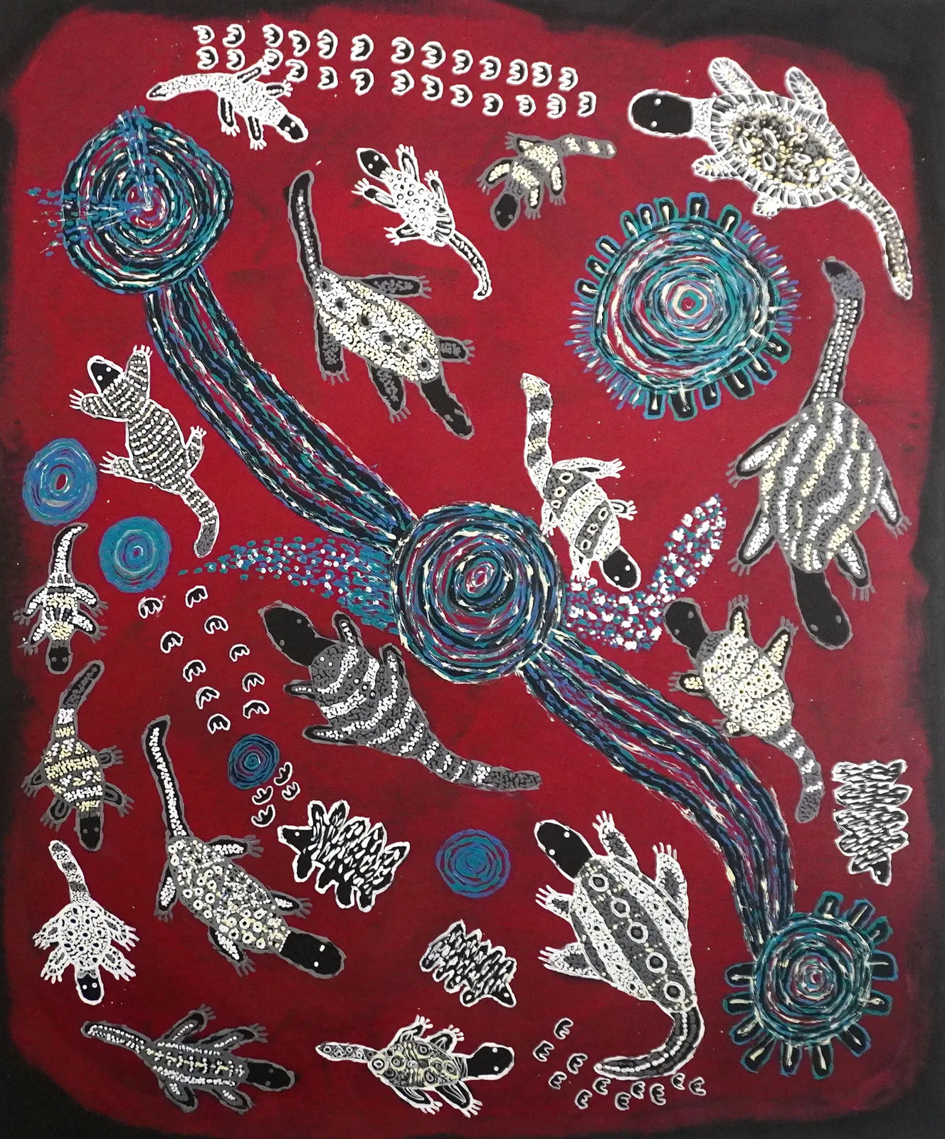 Serena Ken, Ngayuku ngura - My Country, 2026