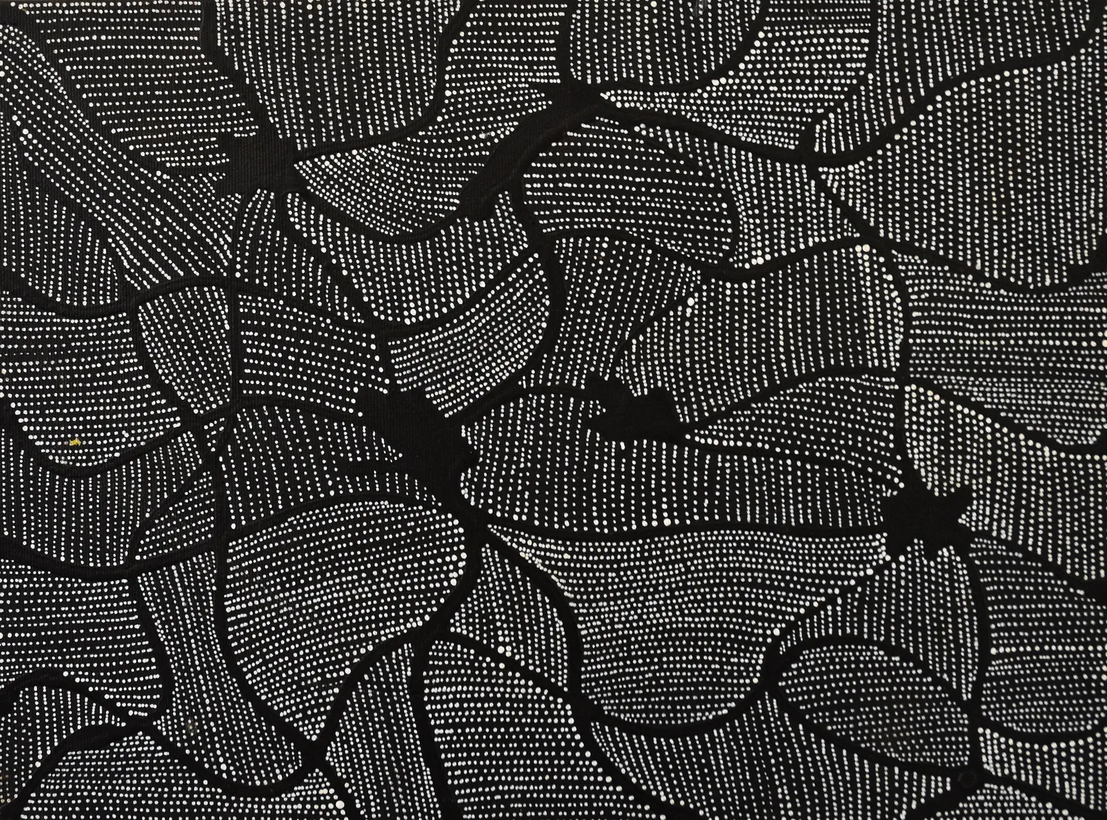 Nancy Nungarrayi Collin, MIna Mina Jukurrpa (Mina Mina Dreaming, 2023